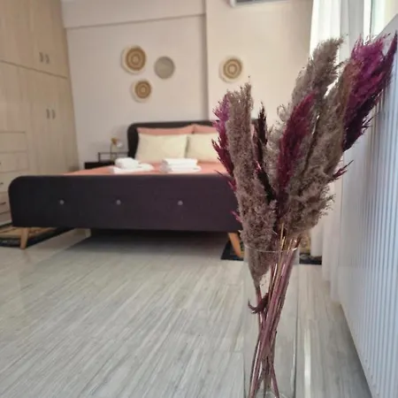 V For The View Apartment