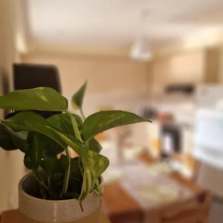 V For The View Patras